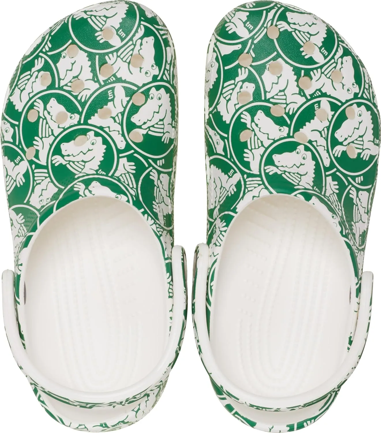 Crocs Unisex-Child Classic Graphic Clog