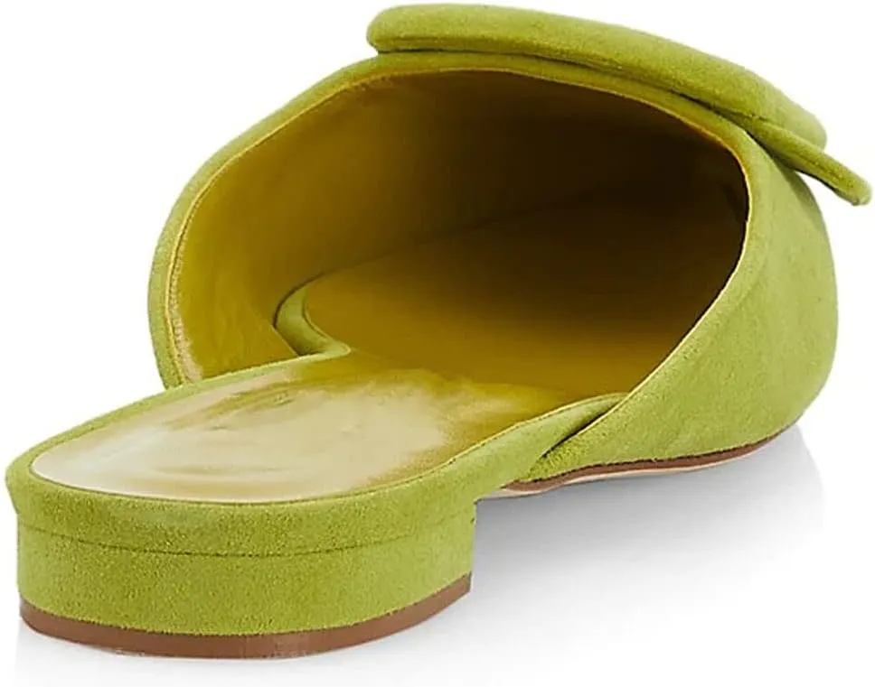 Divanne Mules for Women, Buckle Flat Mules Pointed Toe Backless Mule Slides Suede Slip On Loafers